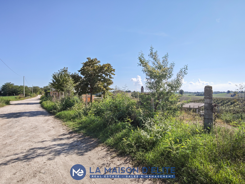 Pitigliano terreno (2)