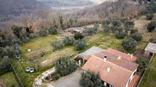 Featured image 2